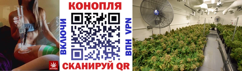 Бошки Шишки гибрид  Купить  Талица 
